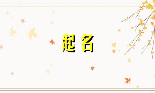 起名的诗句名字有哪些古诗