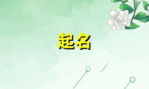 有哪些起名老师的书籍好