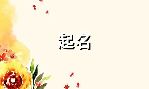 网红起名小众词汇有哪些