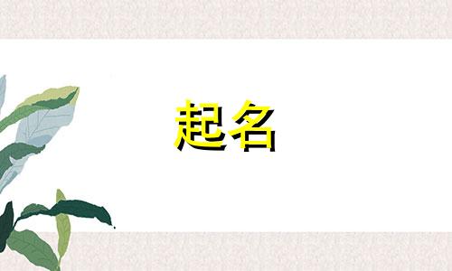 小动物起名叠字有哪些