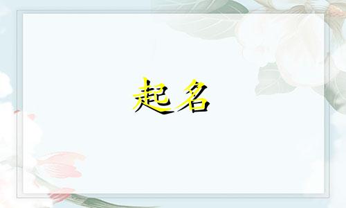 起名有哪些原则和要求呢