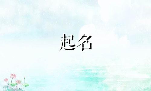 老鼠用哪些字起名好呢女生