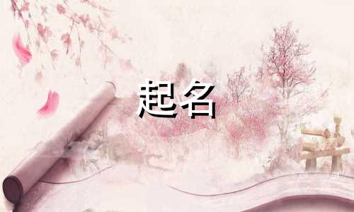 域名起名只能包含哪些符号呢