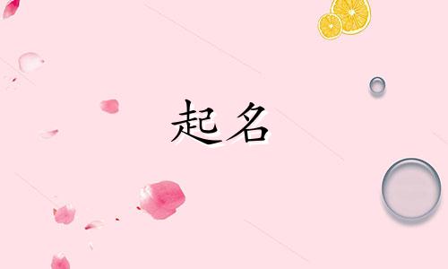 王学林起名的事例有哪些