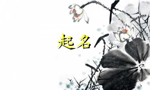 酒店起名字有哪些规则