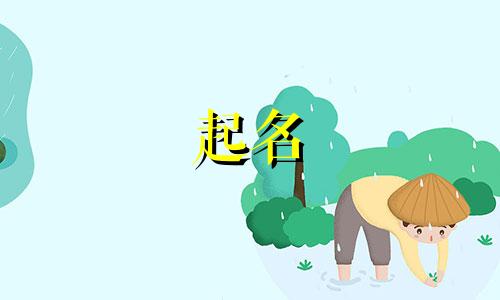 不会起名的小烧杯有哪些