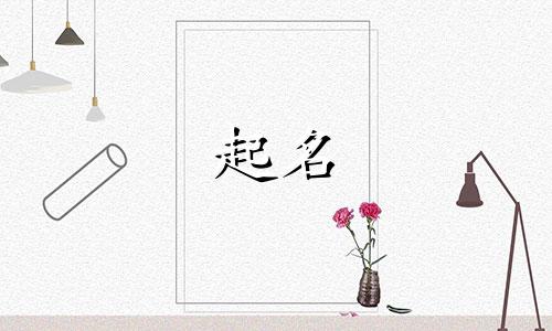 婴儿起名用哪些字好呢男孩