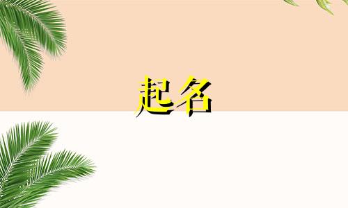 给孩子起名最佳字母有哪些