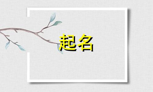 石家庄起名算卦大师有哪些