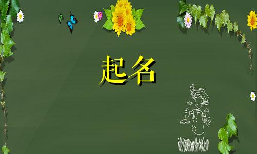 英文起名软件网站有哪些