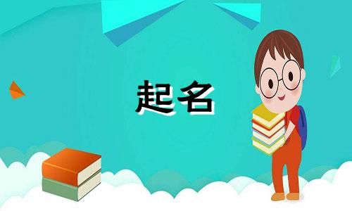 不会起名的橙子名字有哪些