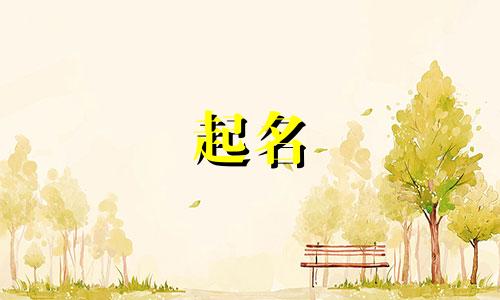 大数据起名公司有哪些名称