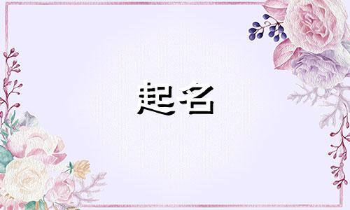 用大海起名的店铺有哪些