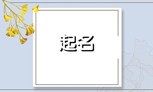 租赁公司起名热门名字有哪些