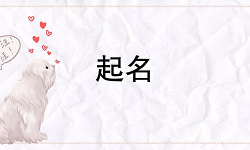 输入姓氏起名的软件有哪些