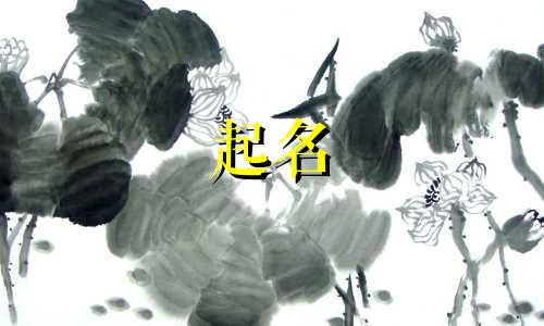 孩子起名字要看哪些书