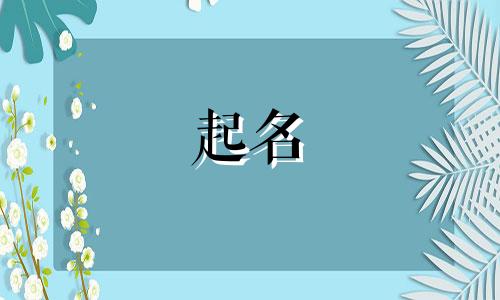 顾字起名的忌讳有哪些