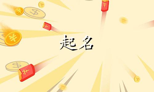 猫咪起名姓氏有哪些字好听