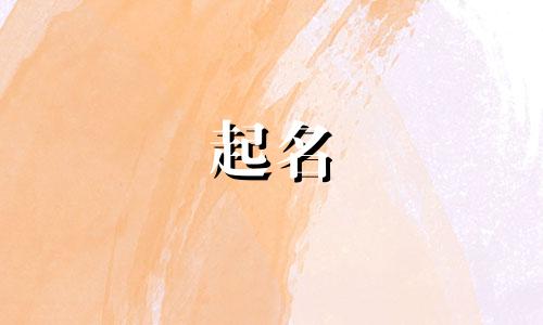 宠物起名流派有哪些好听