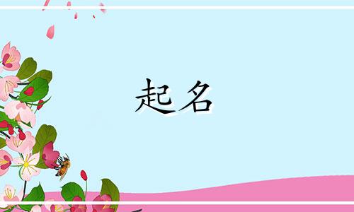 起名流行用字有哪些字体