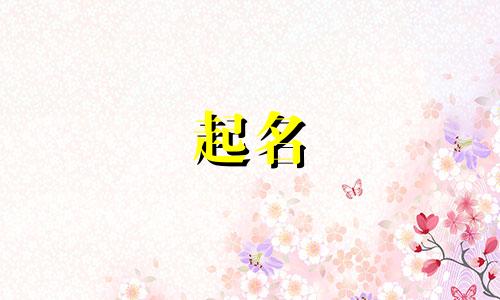 起名意思的代用词有哪些