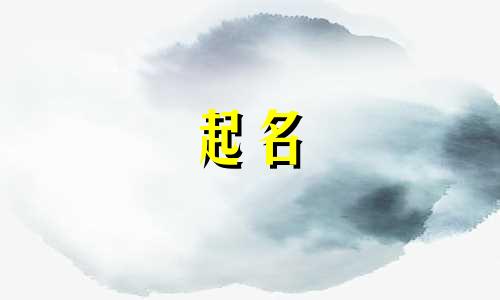 沧州起名网站有哪些公司