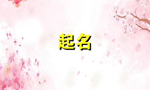 兔宝宝起名热门字有哪些