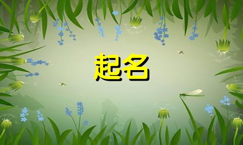 不起名了的电影有哪些