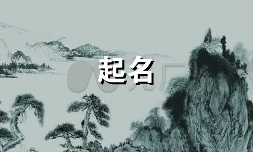 公婆参与起名的故事有哪些