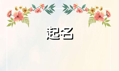 新婴儿起名网站有哪些