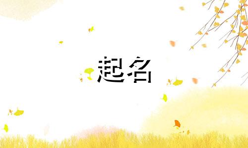 朝代起名讲究有哪些方面
