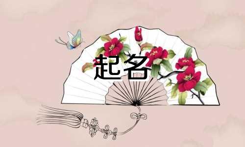 天猫起名服务有哪些类型
