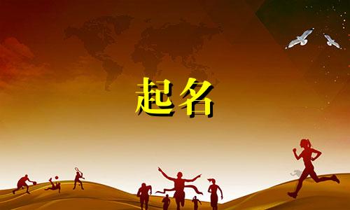 中文起名素材网站有哪些