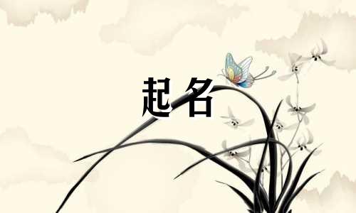 女孩起名金字旁的有哪些