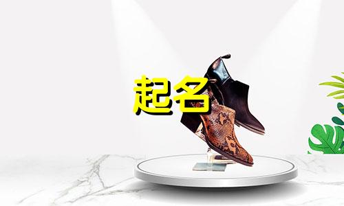 唱歌起名字软件有哪些