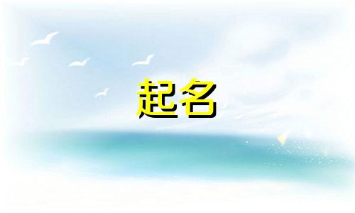 女孩的起名软件有哪些好听