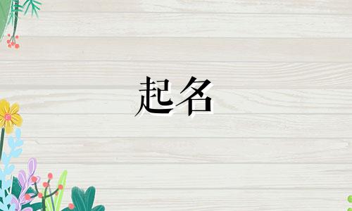 鸟起名的品牌有哪些名字