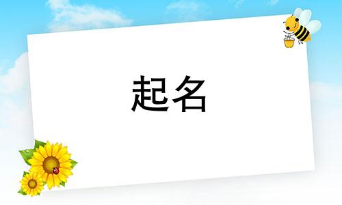 免费高分起名软件有哪些