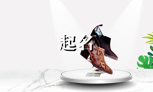 用鹤起名方法有哪些字母