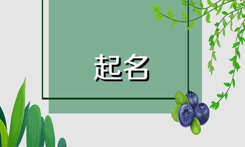 自动起名小程序有哪些