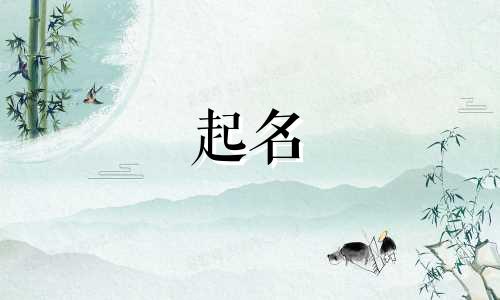 龙女宝宝起名宜忌有哪些