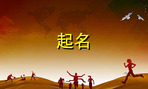 起名的小程序有哪些软件