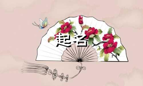 起名方法和原则有哪些内容