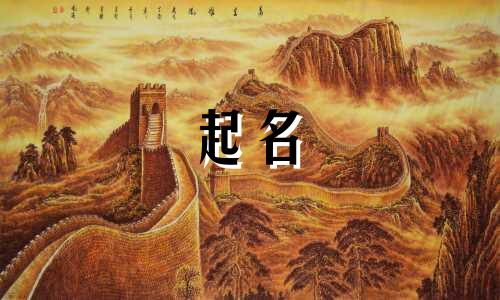 起名寓意熊猫的名字有哪些
