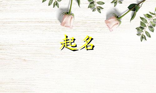 起名子常用的词有哪些