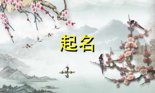 花钱起名的骗局有哪些案例