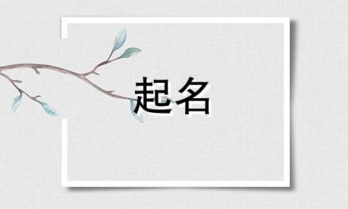 大网红起名秘诀有哪些名字