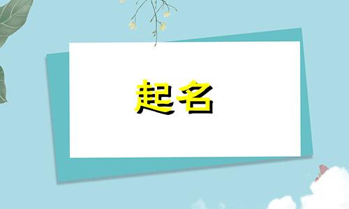 可以起名的动词有哪些词语