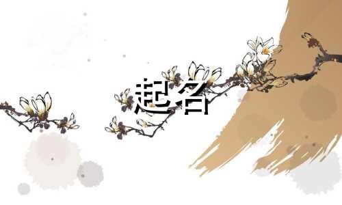 起名的好网站有哪些呢