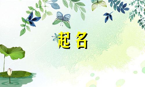 金字后面起名公司有哪些